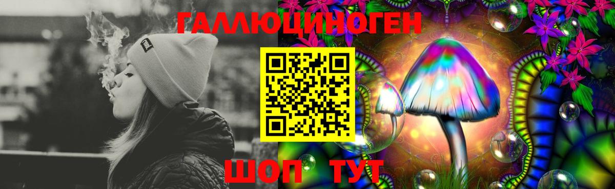 продажа наркотиков  Вход с VPN  Ленинск-Кузнецкий  Галлюциногенные грибы Psilocybine cubensis 